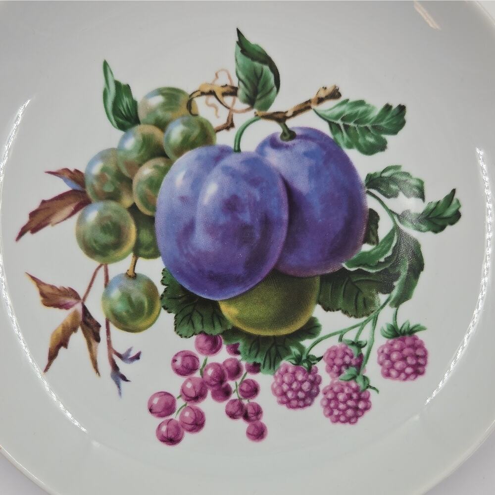 Naaman Fruit Pattern Dinner Plates Set of 4 White Multicolor Ceramic Round - Picture 3 of 7